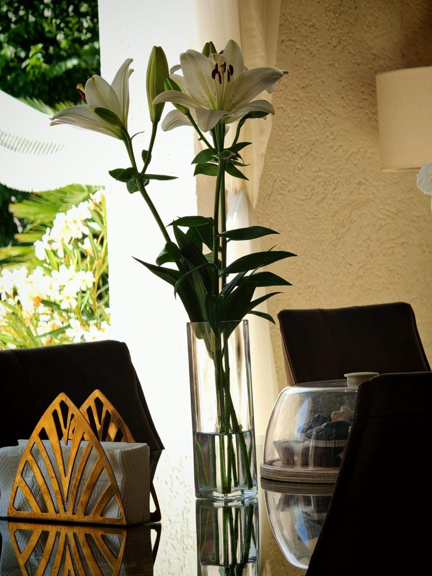 Ilios Vama Veche Adult Only Otel Dış mekan fotoğraf